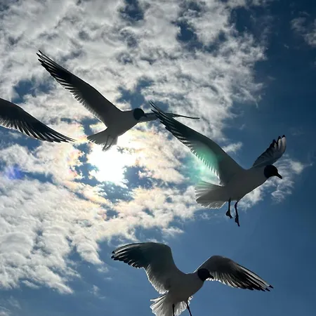 Baltic Pearl Hevenia Apartament Pogorzelica (Gmina Rewal)