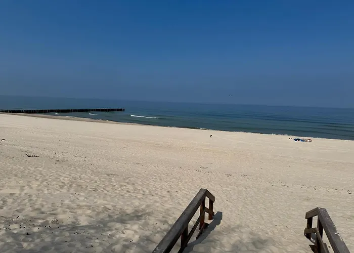 Baltic Pearl Hevenia